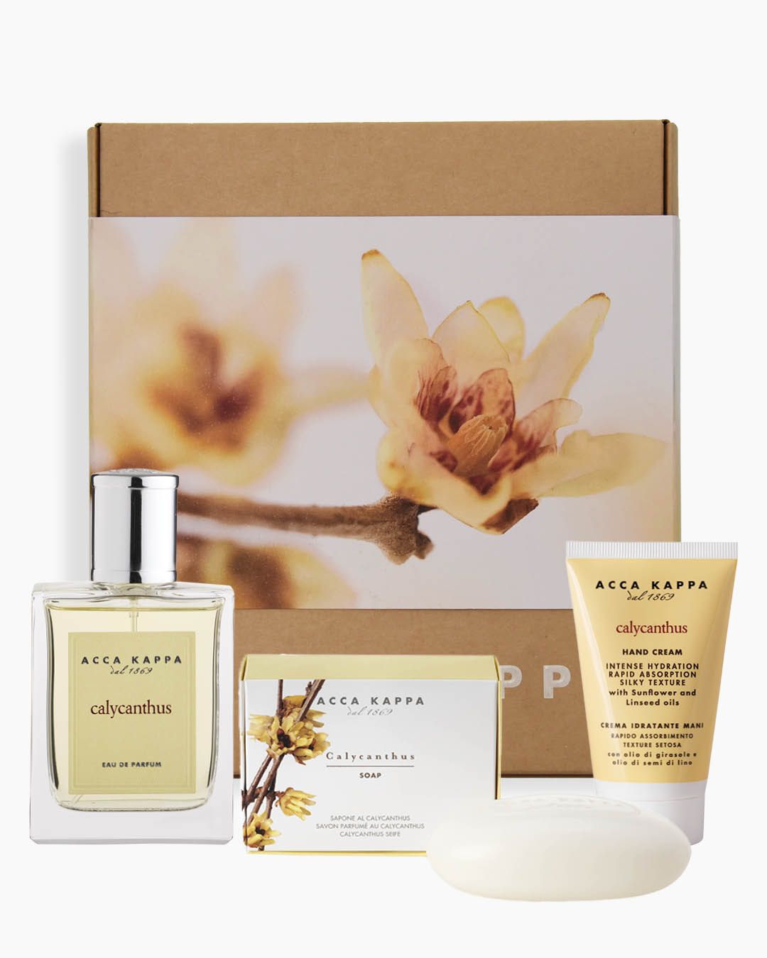 Gift box Calycanthus